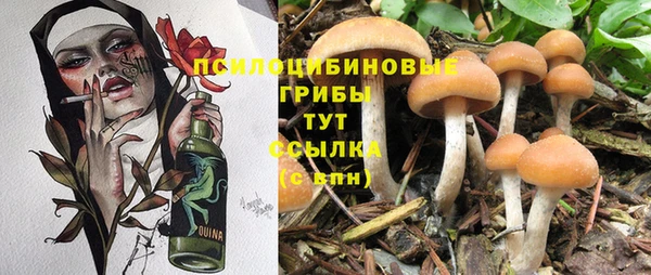 a pvp Россошь