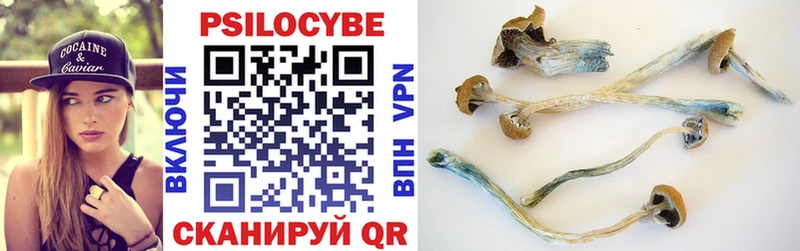 blacksprut зеркало  Иннополис  Псилоцибиновые грибы Magic Shrooms 